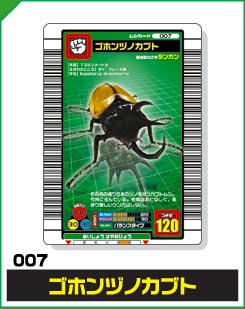 ゴホンヅノカブト（007）［未確定］