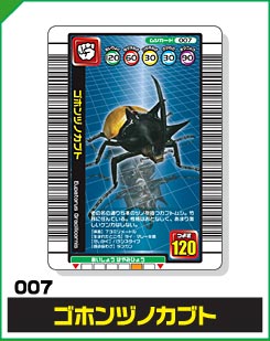 ゴホンヅノカブト（007）［未確定］