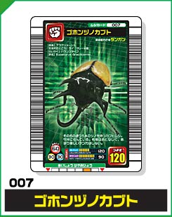 ゴホンヅノカブト（007）［未確定］