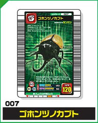 ゴホンヅノカブト（007）［未確定］