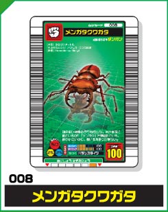 メンガタクワガタ（008）［未確定］