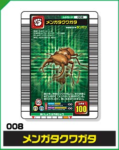 メンガタクワガタ（008）［未確定］
