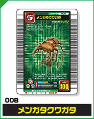 メンガタクワガタ（008）［未確定］