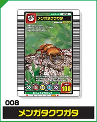 メンガタクワガタ（008）［未確定］