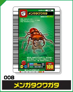 メンガタクワガタ（008）［未確定］