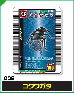 コクワガタ（009）［未確定］