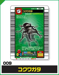 コクワガタ（009）［未確定］