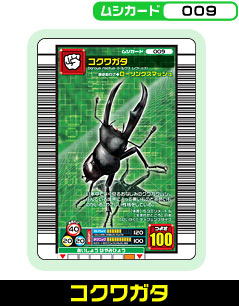 コクワガタ（009）［未確定］