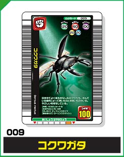 コクワガタ（009）［未確定］