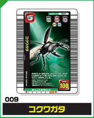 コクワガタ（009）［未確定］
