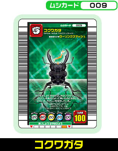コクワガタ（009）［未確定］
