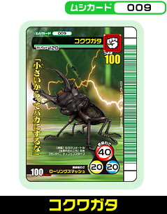 コクワガタ（009）［未確定］