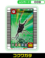 コクワガタ（009）［未確定］