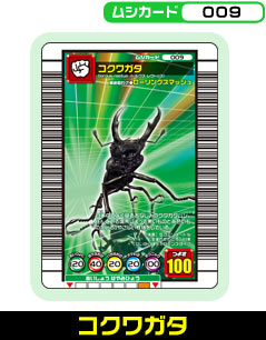 コクワガタ（009）［未確定］