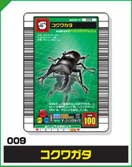 コクワガタ（009）［未確定］