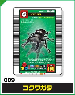 コクワガタ（009）［未確定］