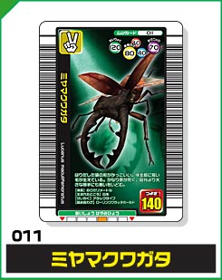 ミヤマクワガタ（011）［未確定］