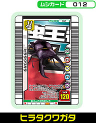 ヒラタクワガタ（012）［未確定］
