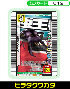 ヒラタクワガタ（012）［未確定］