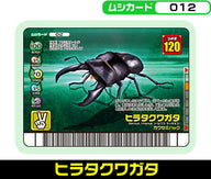 ヒラタクワガタ（012）［未確定］
