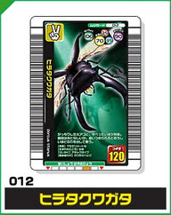 ヒラタクワガタ（012）［未確定］