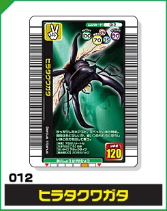 ヒラタクワガタ（012）［未確定］