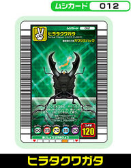 ヒラタクワガタ（012）［未確定］