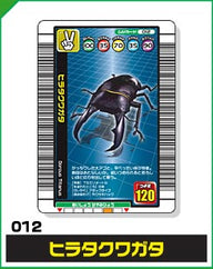 ヒラタクワガタ（012）［未確定］