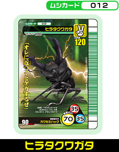 ヒラタクワガタ（012）［未確定］