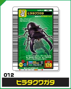 ヒラタクワガタ（012）［未確定］