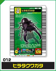 ヒラタクワガタ（012）［未確定］