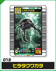 ヒラタクワガタ（012）［未確定］