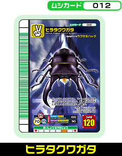 ヒラタクワガタ（012）［未確定］