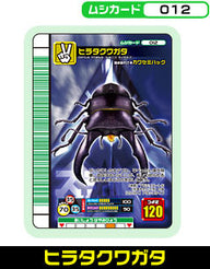 ヒラタクワガタ（012）［未確定］