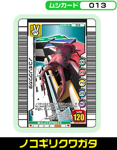 ノコギリクワガタ（013）［未確定］