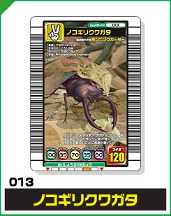 ノコギリクワガタ（013）［未確定］