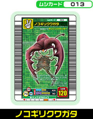 ノコギリクワガタ（013）［未確定］