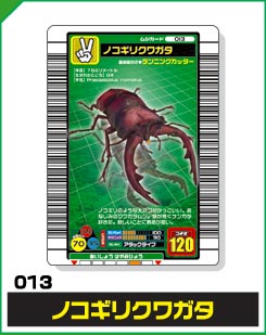 ノコギリクワガタ（013）［未確定］