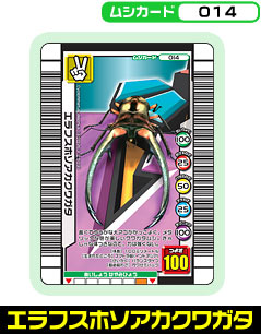 エラフスホソアカクワガタ（014）［未確定］