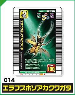 エラフスホソアカクワガタ（014）［未確定］
