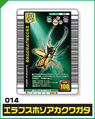 エラフスホソアカクワガタ（014）［未確定］