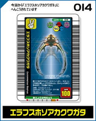 エラフスホソアカクワガタ（014）［未確定］
