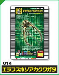 エラフスホソアカクワガタ（014）［未確定］