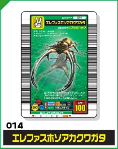 エレファスホソアカクワガタ（014）［未確定］