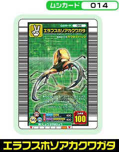 エラフスホソアカクワガタ（014）［未確定］