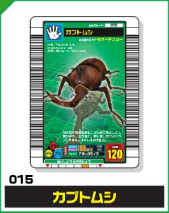 カブトムシ（015）［未確定］
