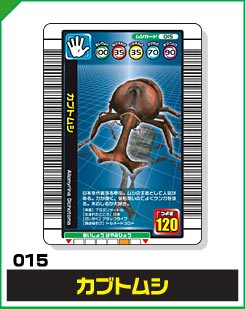 カブトムシ（015）［未確定］
