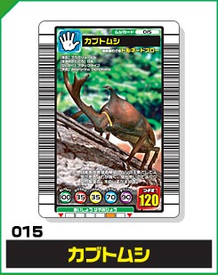 カブトムシ（015）［未確定］