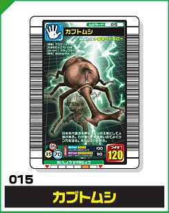 カブトムシ（015）［未確定］