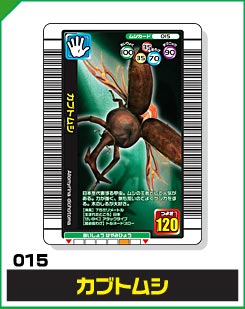 カブトムシ（015）［未確定］